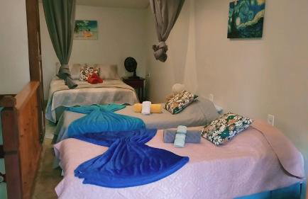 Estrela da noite - Foto 31