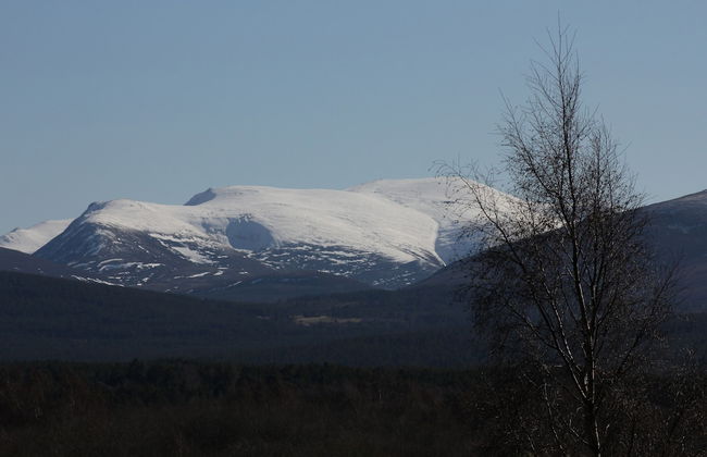 Amazing Cottage With Indoor Private Pool - Foto 18