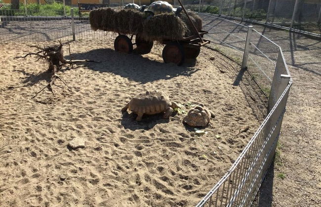 Holiday Home Lalelu Comfortable Vacation Home - Foto 30