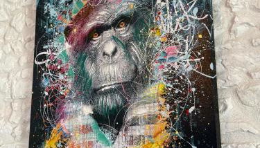 Maison cosy au cœur d'Étaples sur mer classée de tourisme 3 étoiles - Foto 5