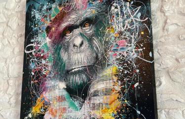 Maison cosy au cœur d'Étaples sur mer classée de tourisme 3 étoiles - Foto 5