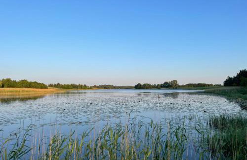 Dwa Żurawie - Głuszyn - Foto 51