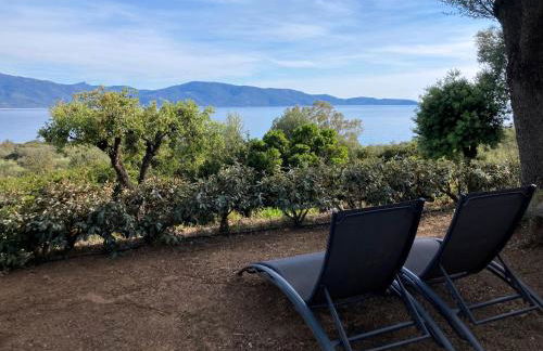 Ogliastrello - Foto 28