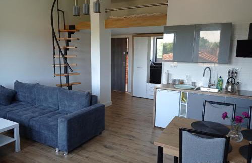 Apartamenty Kasztanowa Zator - Foto 21