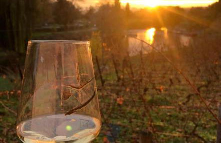 Ferienwohnung Könitz, Ilschen - Foto 40