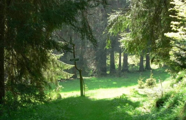 Ferienhaus in Altenfeld Thuringen mit Garten - Foto 132