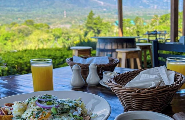 Finca San Cayetano - Photo 66