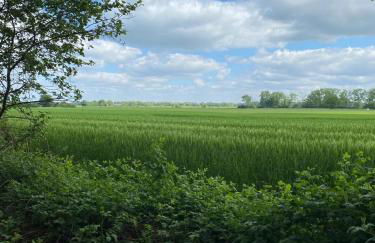 Landliebe Aulosen - Foto 46