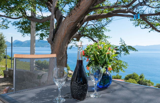 Country Home Dingač - Photo 25