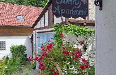 Sonniges Apartment Altenbrak - Foto 15