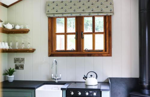 Little Silver Pheasant - Foto 13