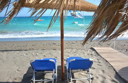 Paradise Studios - Foto 64