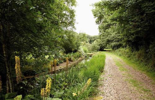 Mews Cottage - Foto 16