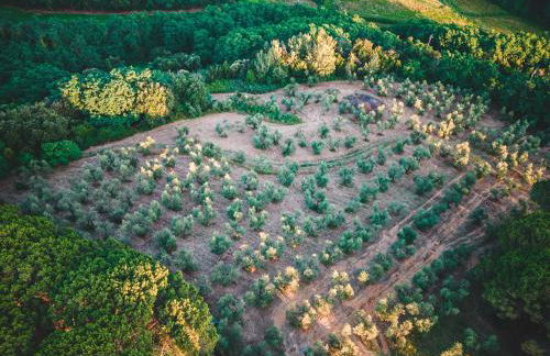 Fattoria Laviosa - Foto 35