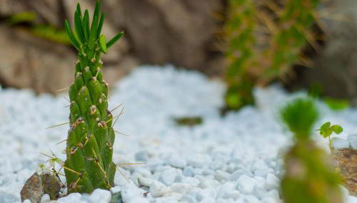 Villa Eliodora - due appartamenti - Foto 5