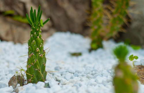 Villa Eliodora - due appartamenti - Foto 5