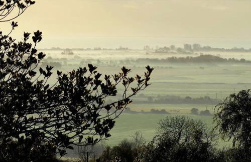 Pooh Corner - Photo 49