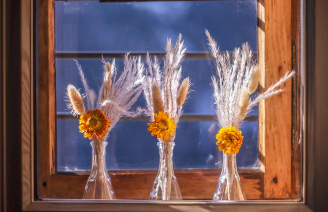 Josefa am Buchhammerhof - Foto 17