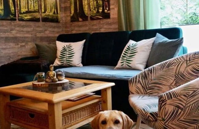 Favorite Piece of Modern Retreat - Foto 26