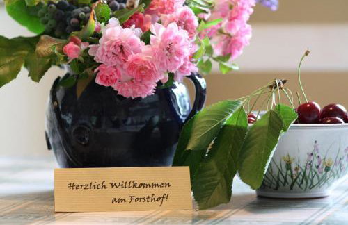 Forsthof Niendorf - Foto 20