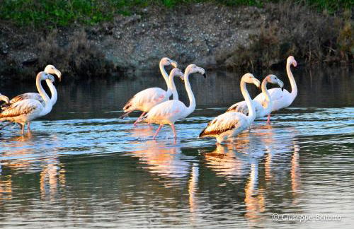 Casa Luca - Posizione strategica e garage gratuito - Pet Friendly - Foto 25