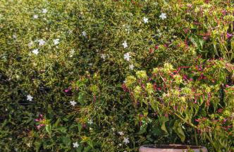 Unity Villa - Foto 40