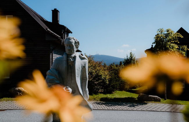 Holiday Homes in Torfhaus Harzresort, Torfhaus - Foto 79