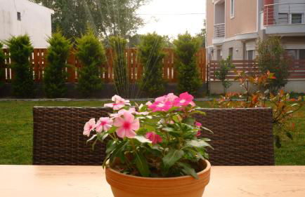 Casa Akrolithos - Photo 21