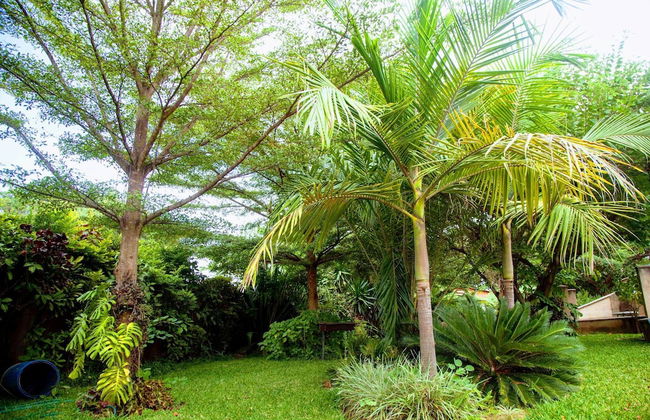 Lush Gardens Apartment 2 - Photo 20