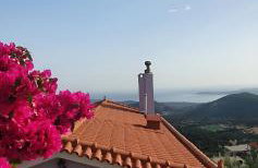 Villa kokos - Foto 43