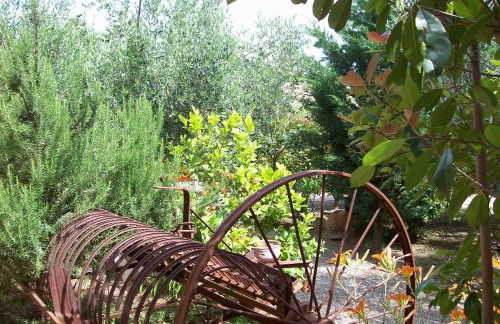 Azienda Agrituristica Le Betulle - Foto 53