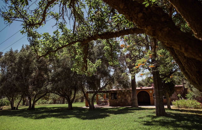 Rancho Toros Pintos - Foto 31