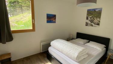 Foux d Allos Centre de la Station 4 Pièces 8 Personnes - Foto 3