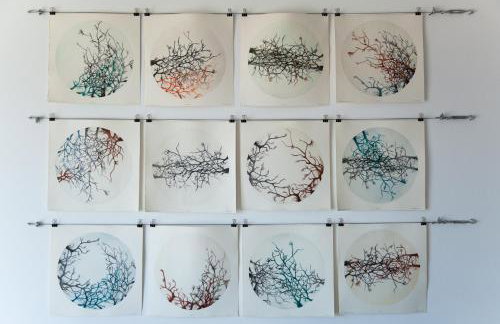 Apartment Iris - Foto 9