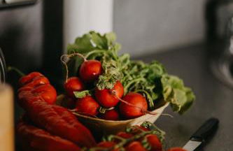 Haus Bergfrieden - Foto 64
