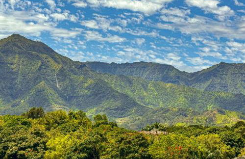 Villas of Kamali'i Mountain Waterfall Views - Foto 17