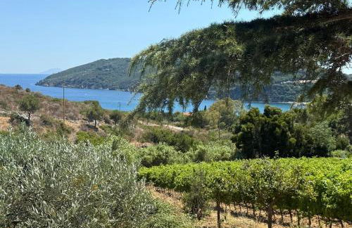 Casa Katia, Giuliana & Nami - Foto 74