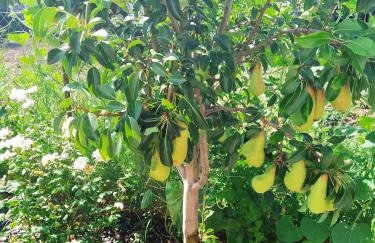 Magdalini Studio - Foto 3