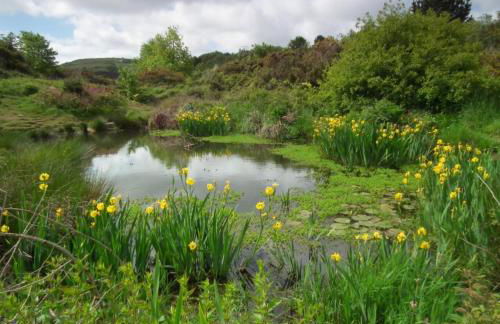 The Annexe At The Old Mill - Foto 14