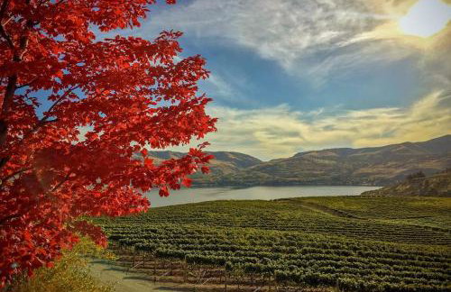 Heavenly View - Foto 34