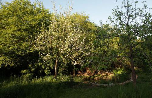 Große Ferienwohnung in Peetzig am See - Foto 59