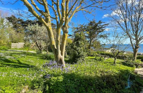 Mimosa - Uk51224 - Foto 19