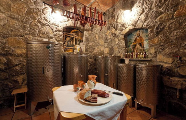 Tourist Farm Skrbina Apartment 1 - Foto 15