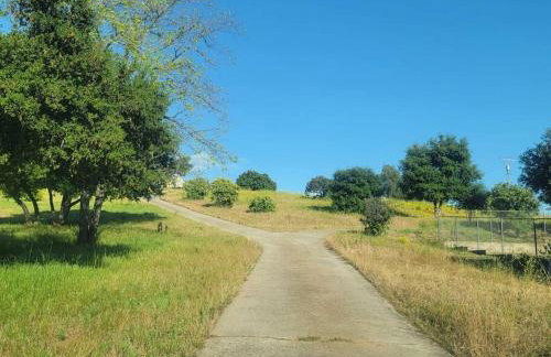 Exotic Gem Relaxing Farm Vibes Near Safari Zoo, Legoland & Wineries - Foto 19