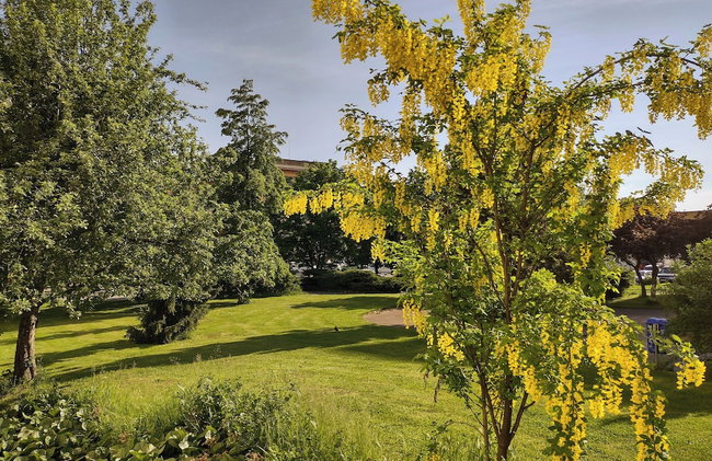 University Hotel - Foto 74