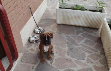 Top Apartments Roma 2 Metro A Free Parking - Foto 18