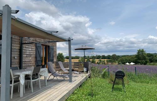 DOMAINE D'ELUSA - Photo 5