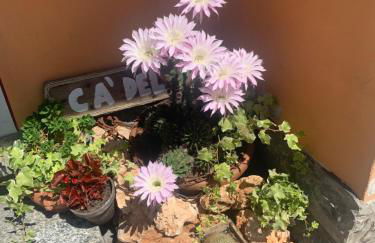 Cà del Fili - Foto 32