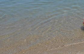 Sea Breeze - Foto 31