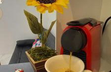 Lindo apartamento na Lapa - Photo 15